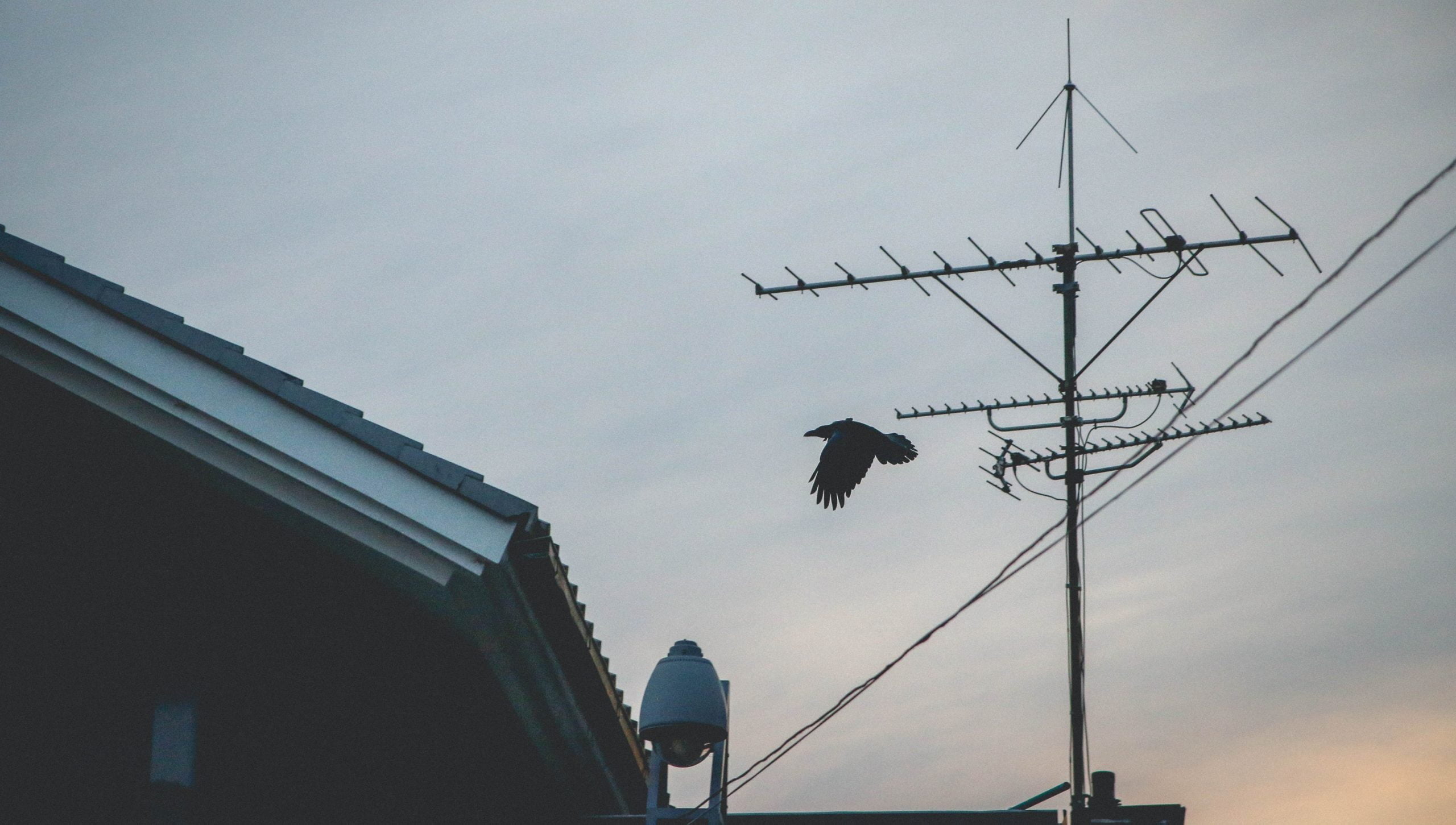 Benefits Of Having A Professional Antenna Installer 2 benefits of having a professional antenna installer for your home