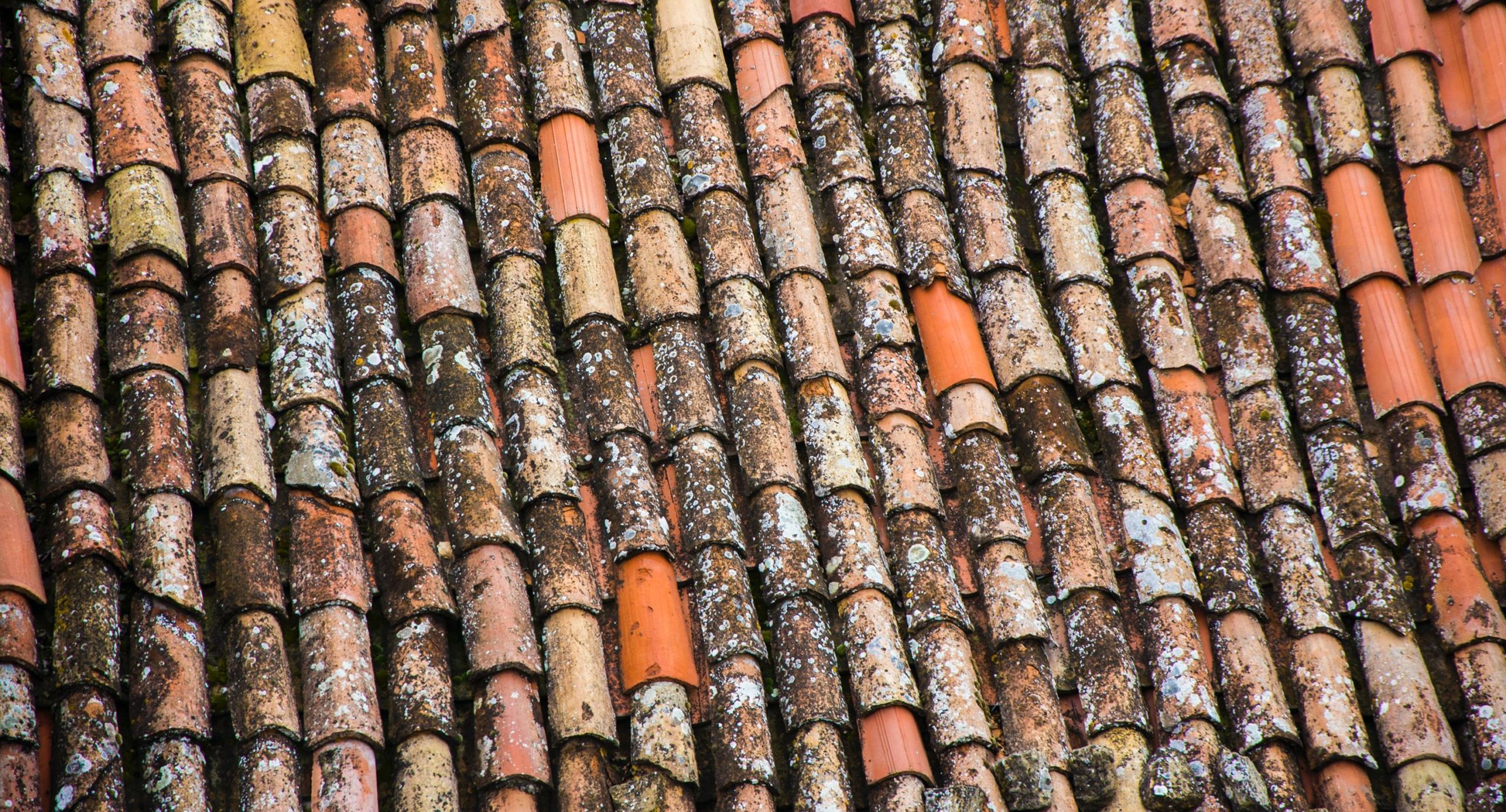 15 Tips On How To Successfully Install Your TV Antenna By Yourself 9 Do not climb on roofs that are shingled or curled, they may break or pull out easily