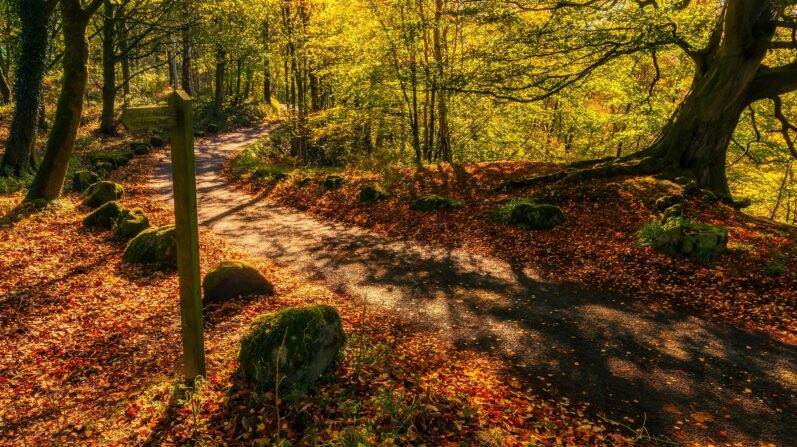 11 Best Places to See Britain’s Autumn Colors