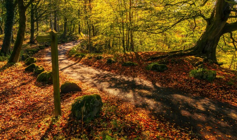 11 Best Places to See In Britain This Autumn 2 11 Best Places to See Britain’s Autumn Colors
