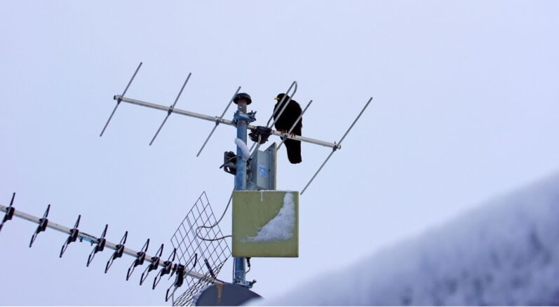 TV Antenna 101: Helpful Things You Should Know 2 Cable TV Antenna 101 All Things You Should Know