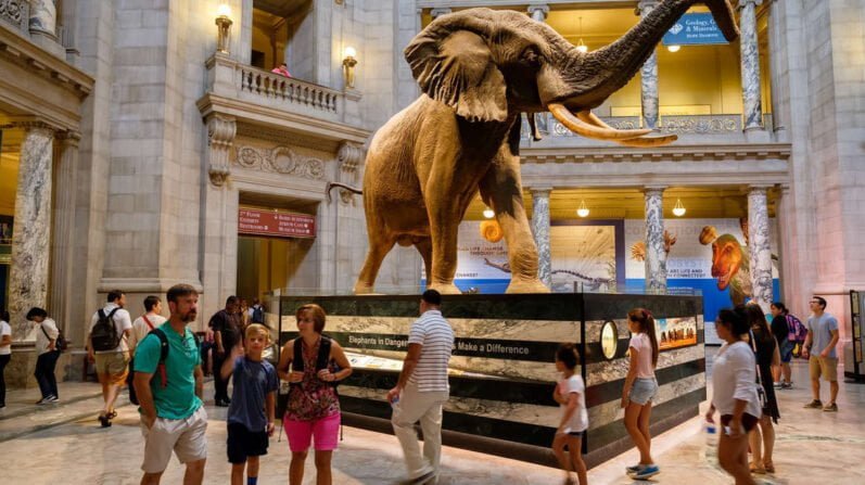 Travel: Destinations, Travel Tips and Practical Guides 10 Washington Museums