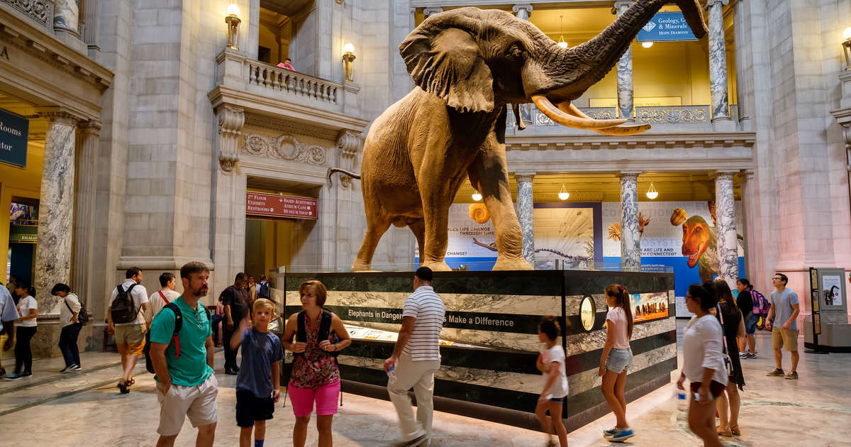 Washington Museums