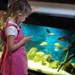 Pets & Animals: Pet Care, Feeding and Animal Guides 9 Choosing the Right Fish Food A Guide to Keeping Your Fish Healthy and Happy