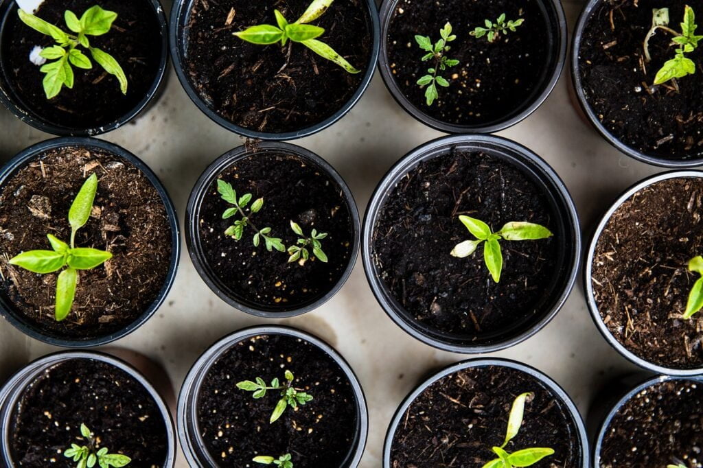 The Best Gardening Buckets For Every Garden Need 6 Container Gardening