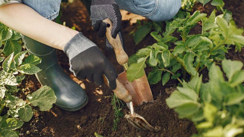 Copper Gardening Tools - A Durable and Aesthetic Choice