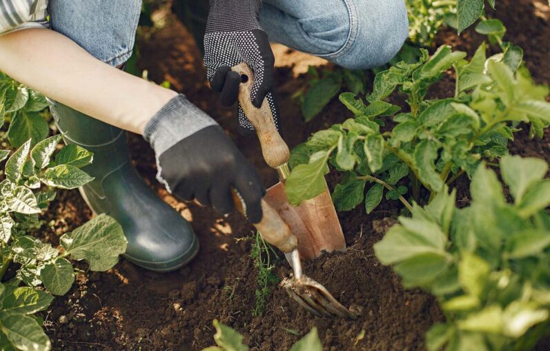 Copper Gardening Tools: A Durable and Aesthetic Choice 2 Copper Gardening Tools - A Durable and Aesthetic Choice