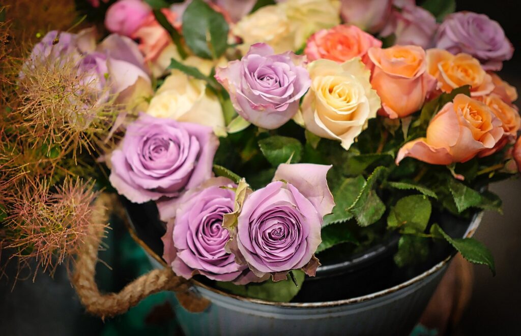 The Best Gardening Buckets For Every Garden Need 3 Rose in a gardening bucket
