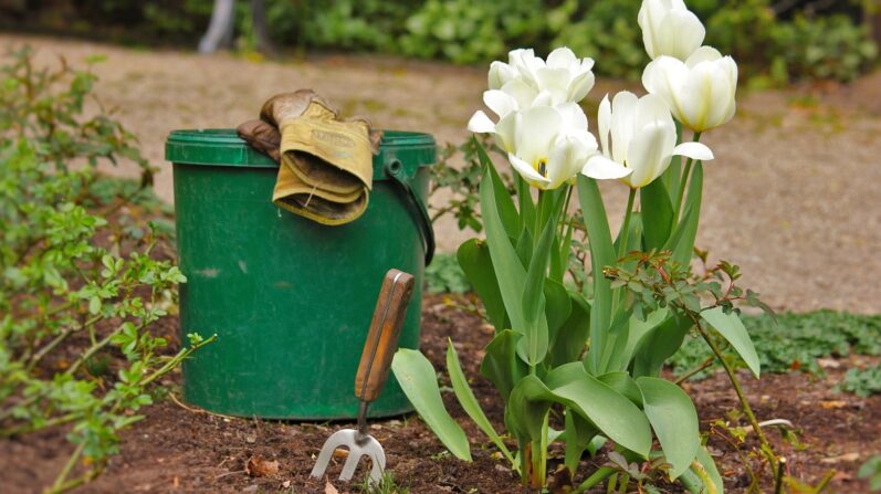 The Best Gardening Buckets for Every Garden Need