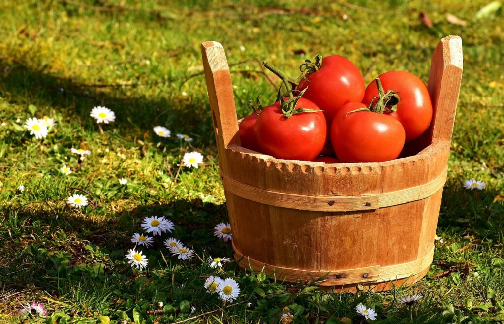 The Best Gardening Buckets For Every Garden Need 5 Wooden Gardening Bucket