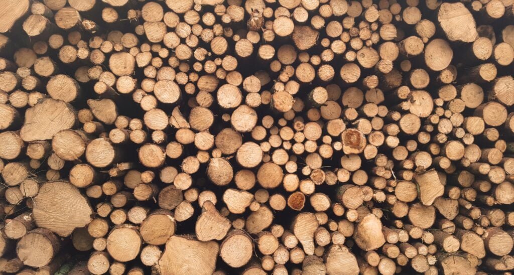 Scented Woods: A Fragrant Journey Into Nature's Aromas 2 Factors to Consider When Choosing Scented woods