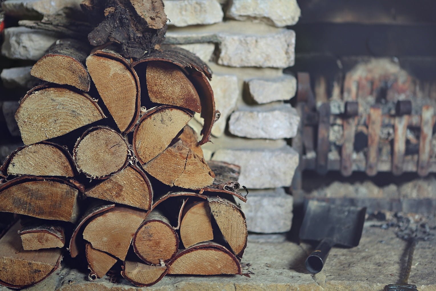 0 Scented Woods: A Fragrant Journey into Nature’s Aromas