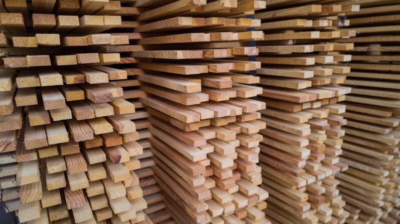 All The Other Things 3 Termite Resistant Wood in the Philippines An Ideal Solution for Long Lasting Structures