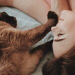 Pets & Animals: Pet Care, Feeding and Animal Guides 1 Clingy Cat Code: 6 Efficient Tips in Decoding Feline Behavior