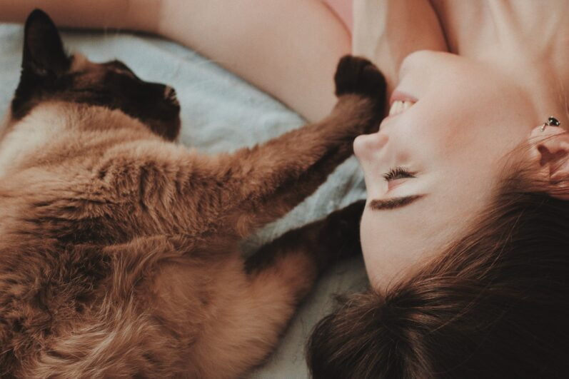 Clingy Cat Code: 6 Efficient Tips in Decoding Feline Behavior 2 Clingy Cat Code: 6 Efficient Tips in Decoding Feline Behavior