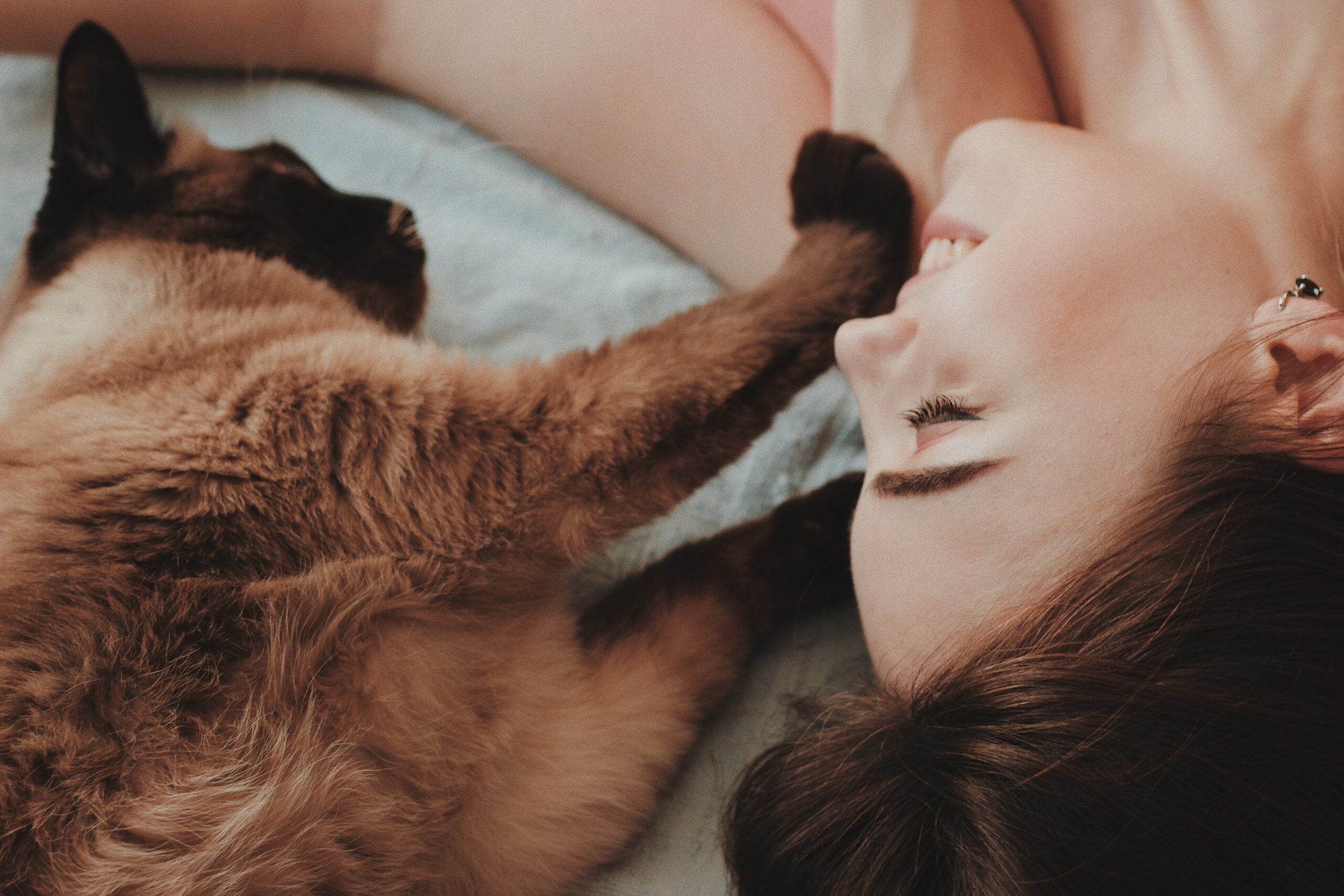Clingy Cat Code: 6 Efficient Tips in Decoding Feline Behavior