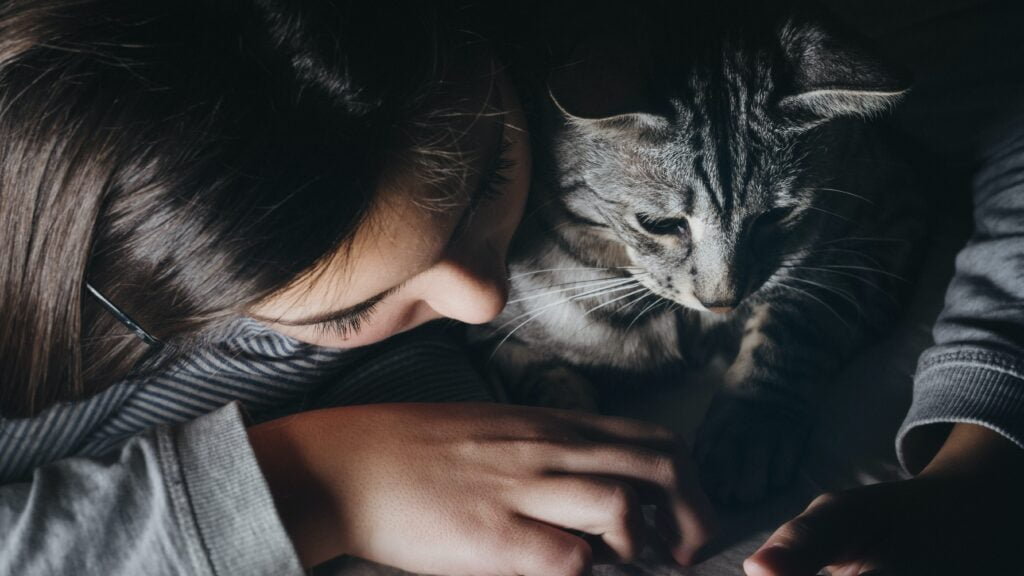 Clingy Cat Code: 6 Efficient Tips In Decoding Feline Behavior 2 A person lying on a bed with a clingy cat.