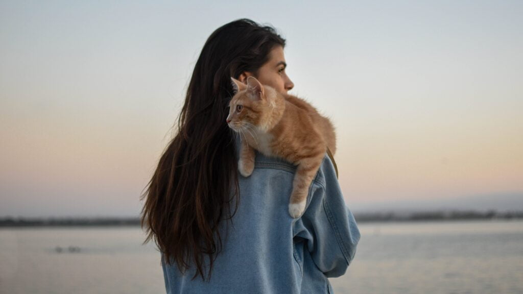 Clingy Cat Code: 6 Efficient Tips In Decoding Feline Behavior 4 A person holding a cat on her shoulder.
