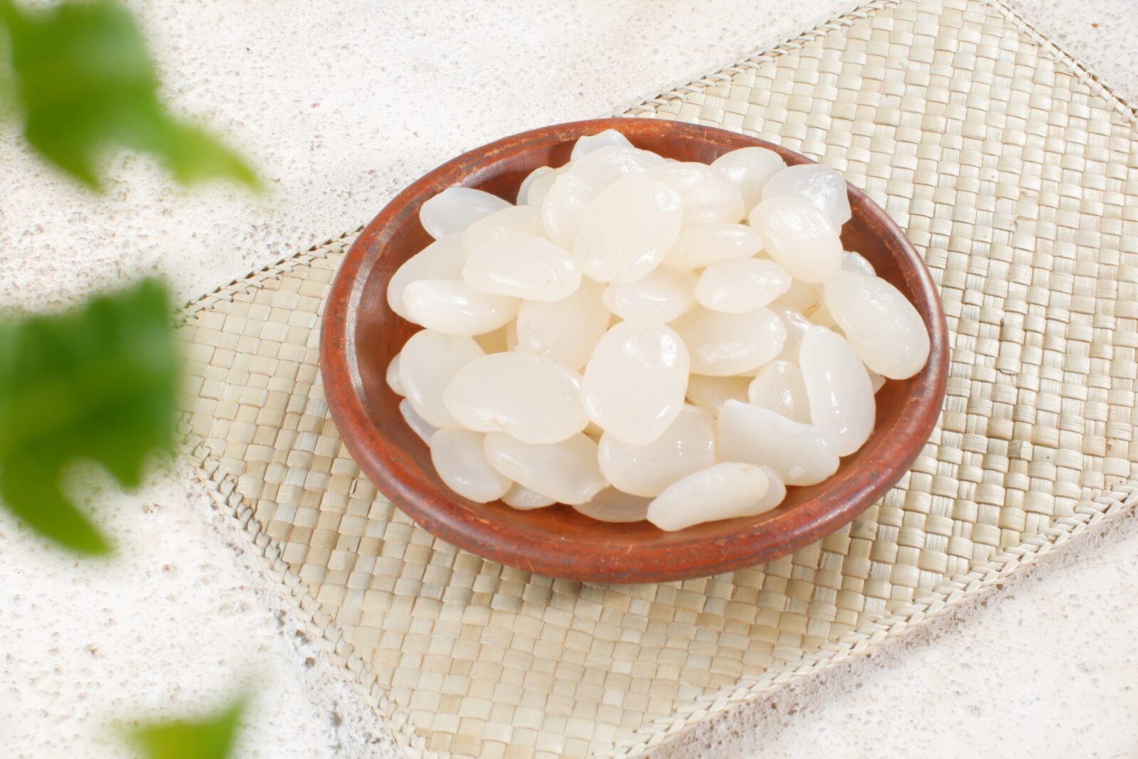 Kaong: The Sweet Sugar Palm Fruit, Growing Tips, And Nutritional Benefits 1 sugar palm fruit in traditional pottery plate on white background