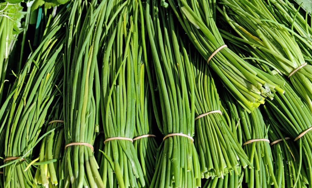 Green Onions Vs Chives: A Culinary Comparison 4 Bundle of chives
