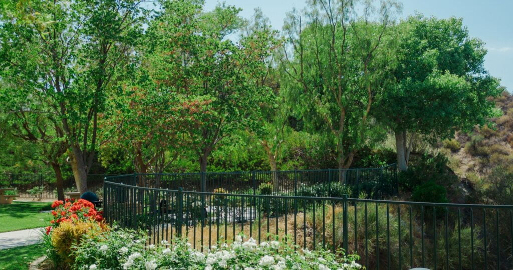 Choosing The Best Garden Fence Panel: A Comprehensive Guide 4 Metal fence surrounding the garden.