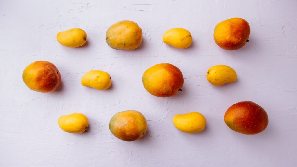Apple Mango In The Philippines: Amazing Facts, Nutritional Benefits, And Guide 2 Comparison between apple mango and traditional mango.