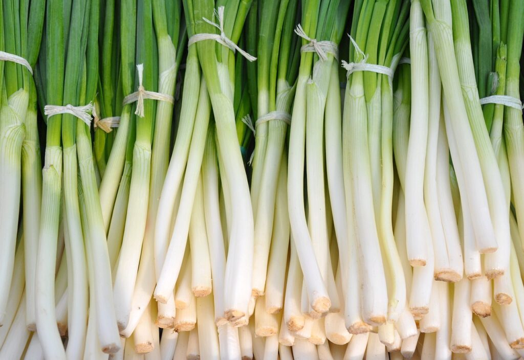 Green Onions Vs Chives: A Culinary Comparison 2 Bundles of green onions