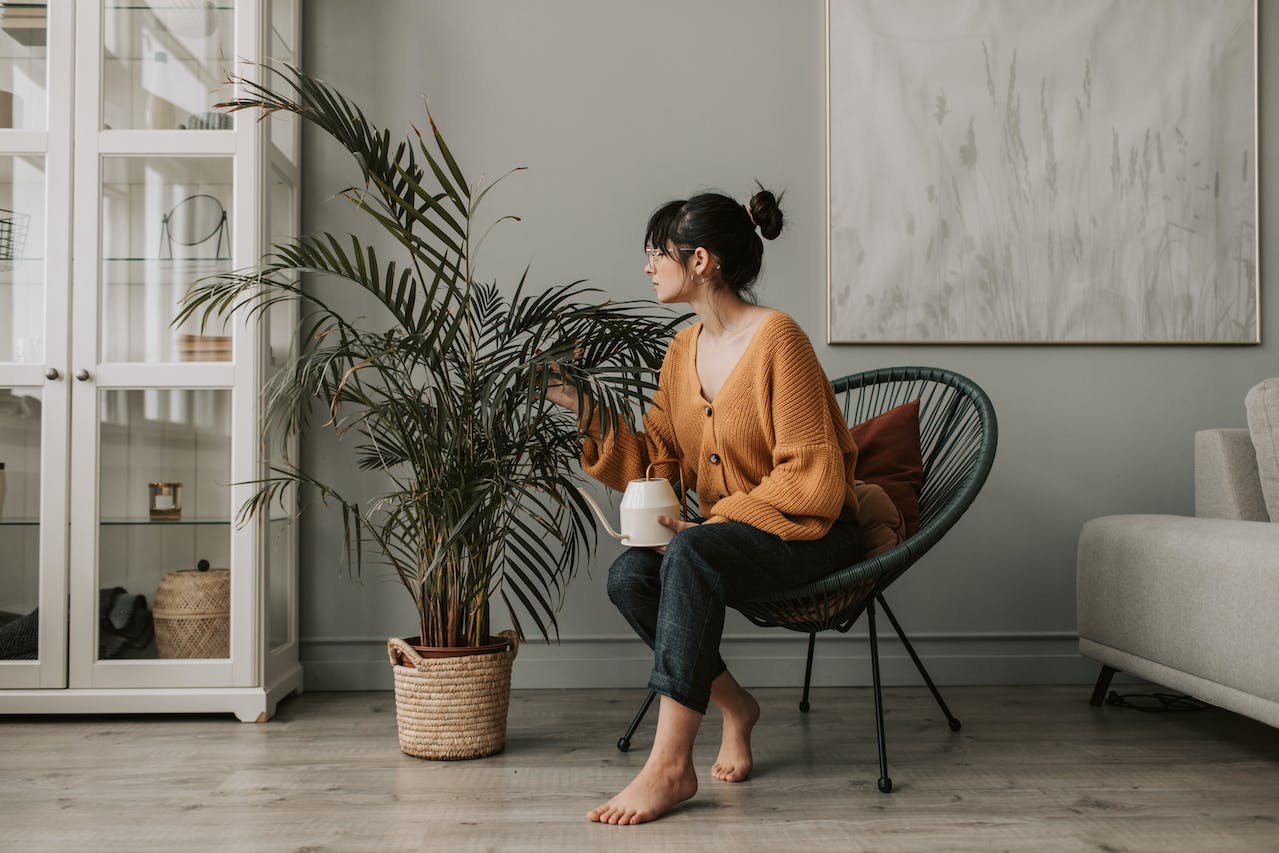 indoor palm plants and a girl