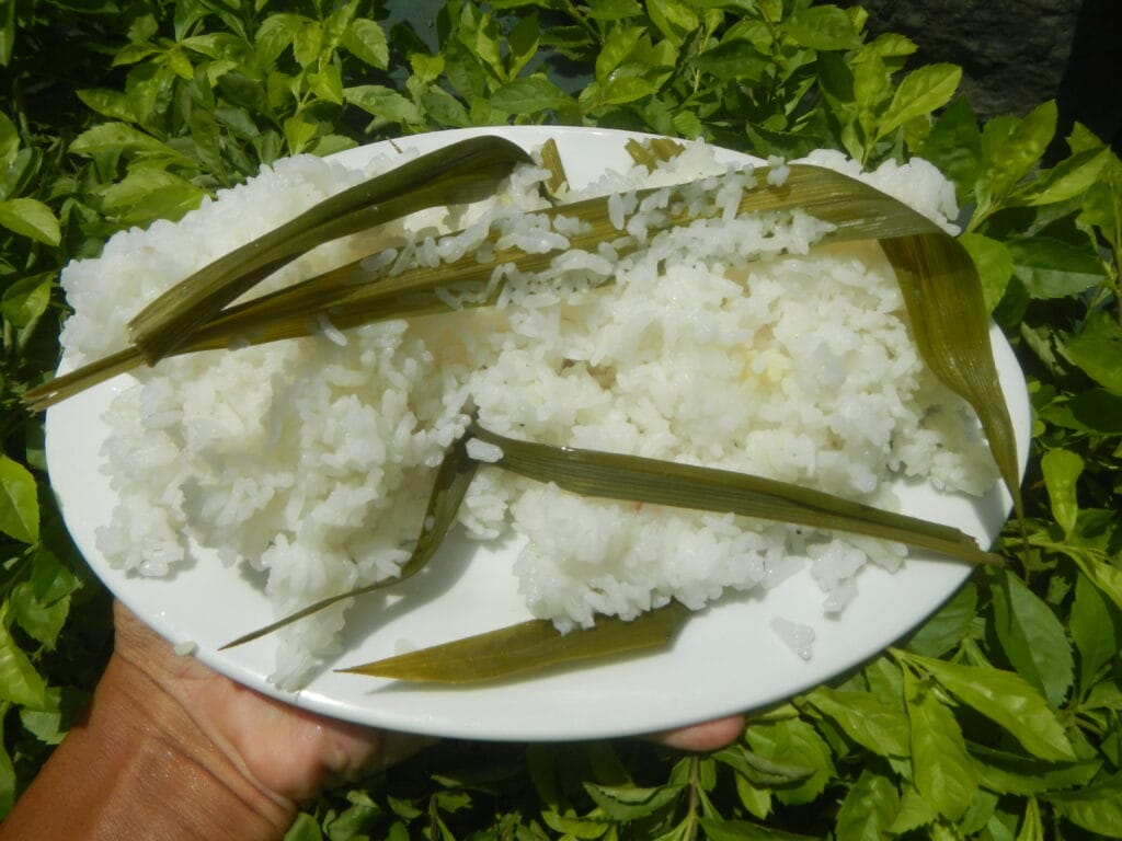 Benefits Of Pandan Lalaki (Pandanus amaryllifolius): History, Benefits, Uses And Safety 3 Benefits Of Pandan Lalaki