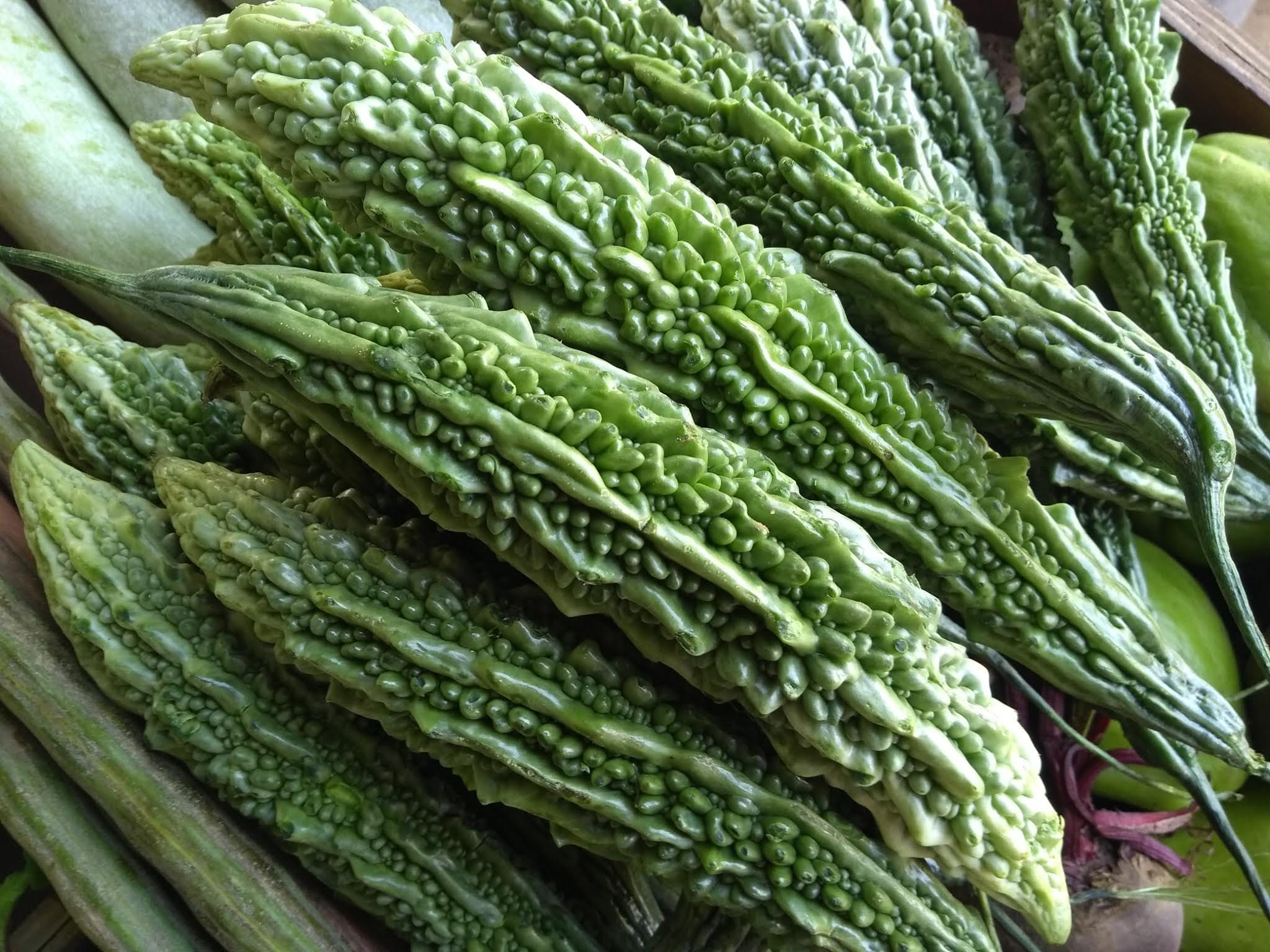 Benefits of Ampalaya (Momordica charantia) A Detailed Analysis of its History, Benefits, Uses, Facts and Safety