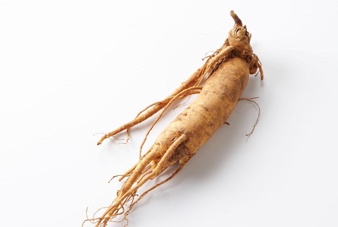 Benefits of Ginseng (Panax spp) A Comprehensive Analysis of its History, Benefits, Uses, Facts and safety