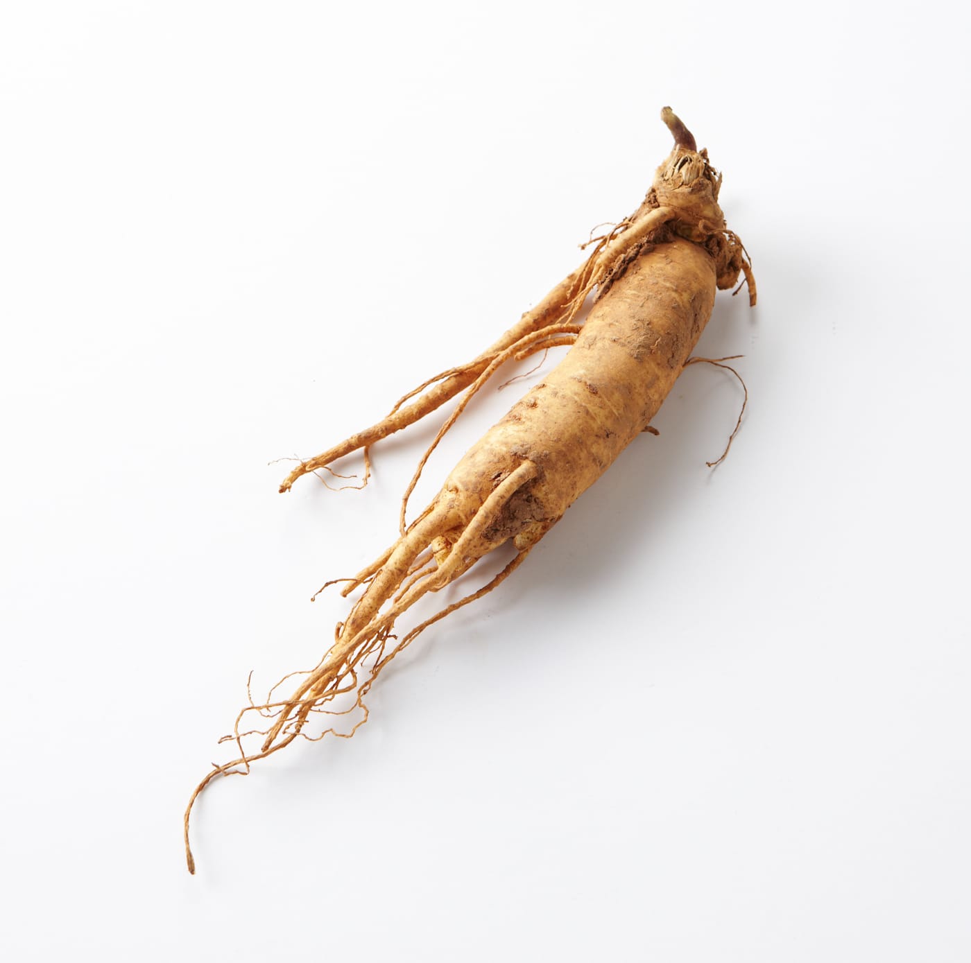 Benefits of Ginseng (Panax spp) A Comprehensive Analysis of its History, Benefits, Uses, Facts and safety