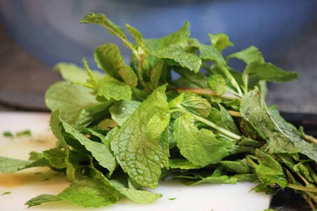 Benefits Of Yerba Buena (Mentha arvensis): A Natural Treasure Chest Of Benefits 5 Culinary Uses Of Yerba Buena