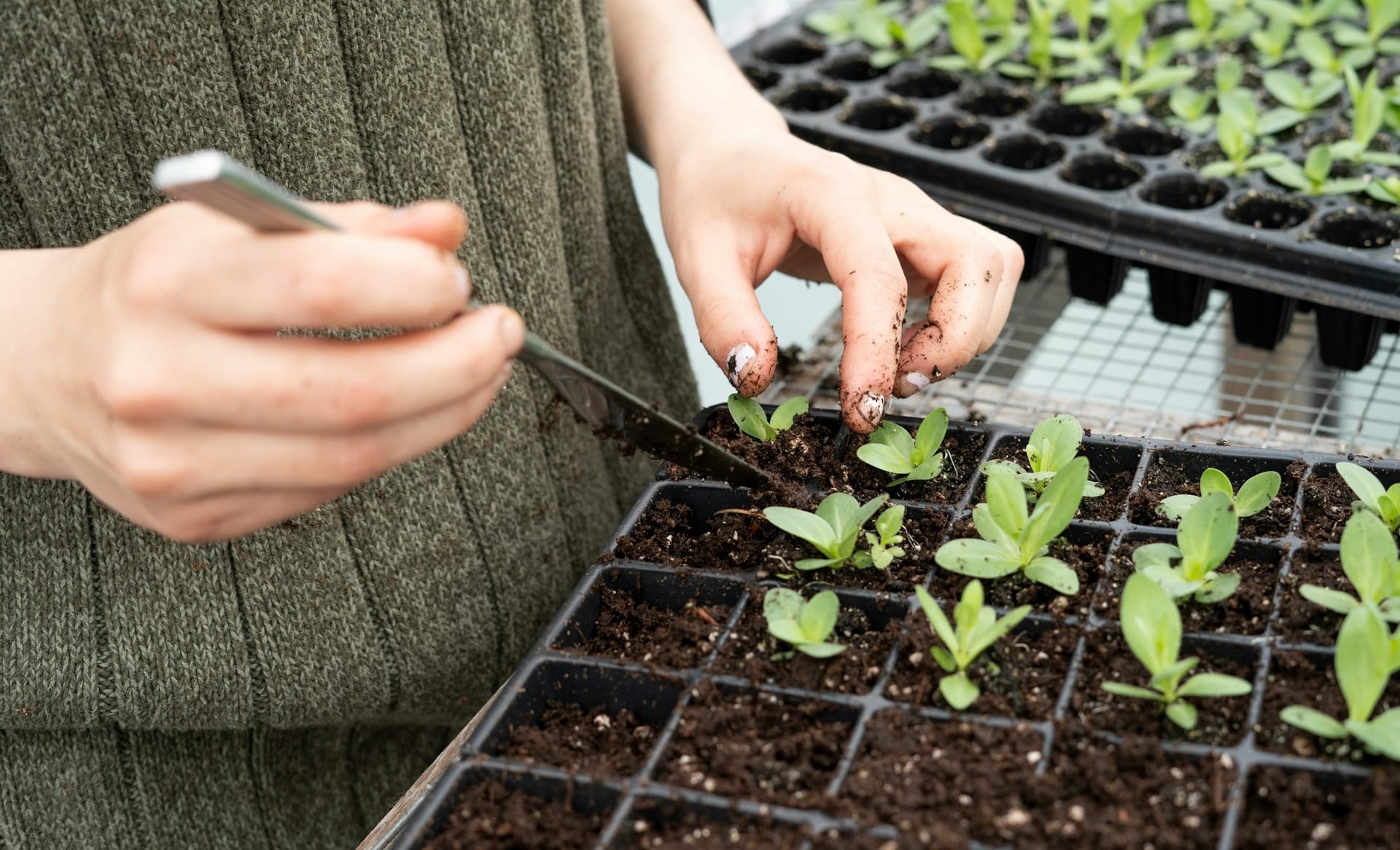 Complete Gardening Guide