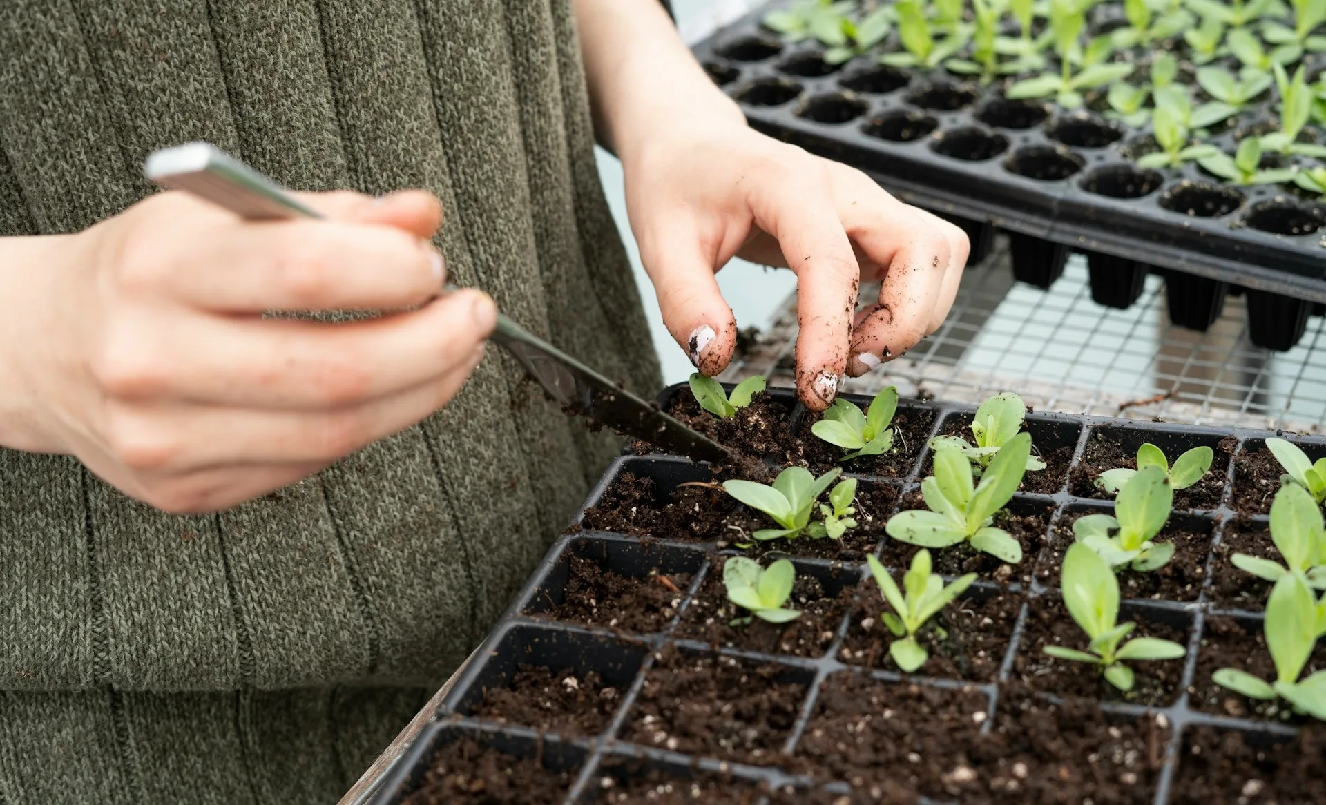 Complete Gardening Guide