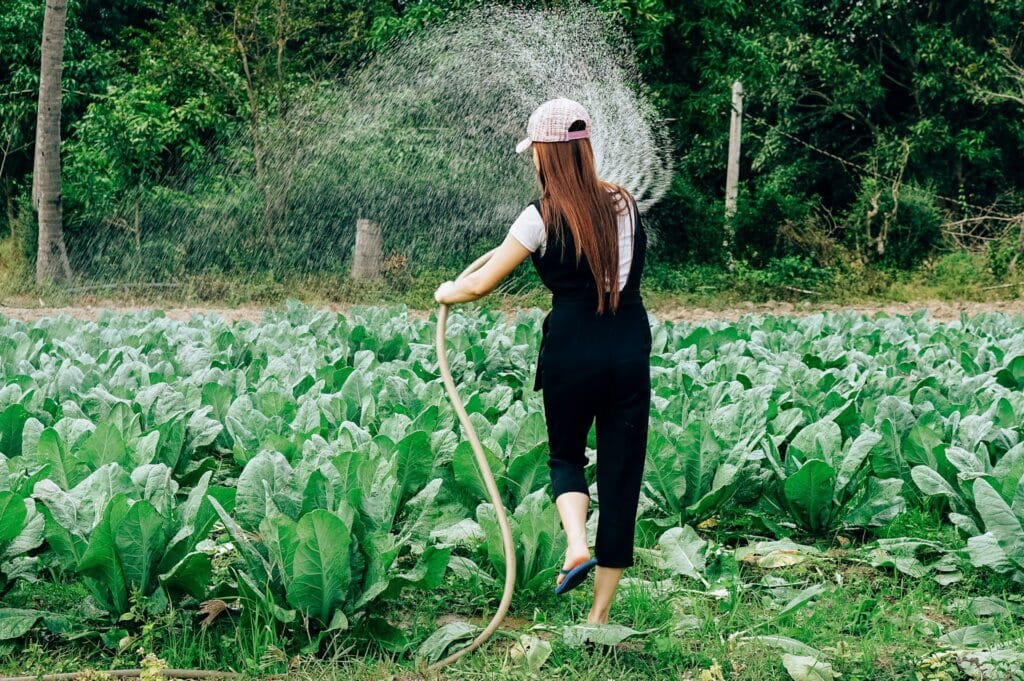 Complete Gardening Guide — Benefits, Tips & Seasonal Planting (2025) 3 Garden Watering