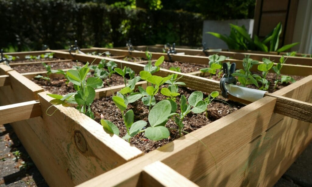 Complete Gardening Guide — Benefits, Tips & Seasonal Planting (2025) 4 Gardening Container