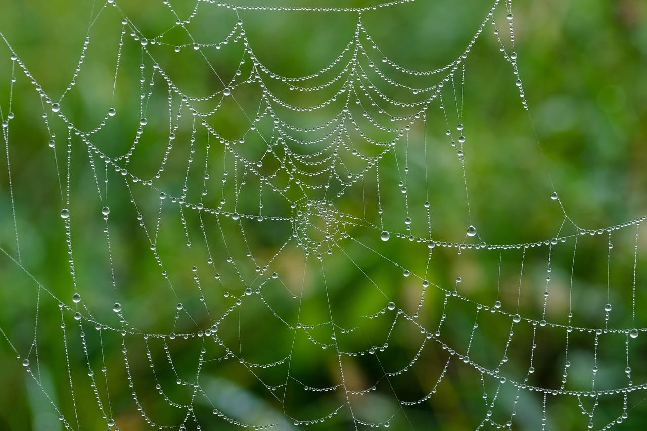Website Security for Side Hustlers: A Practical Guide 6 Dashboard of a web application firewall showing blocked threats, illustrating security monitoring
