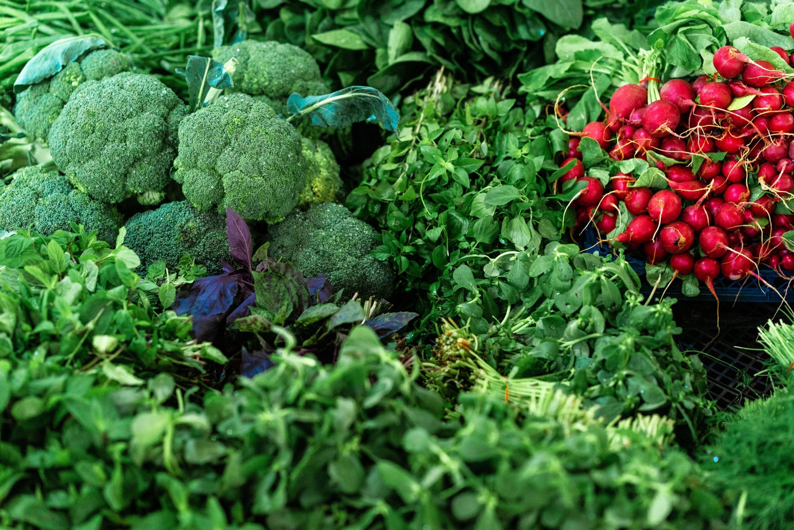 plant based garden foods for gut health
