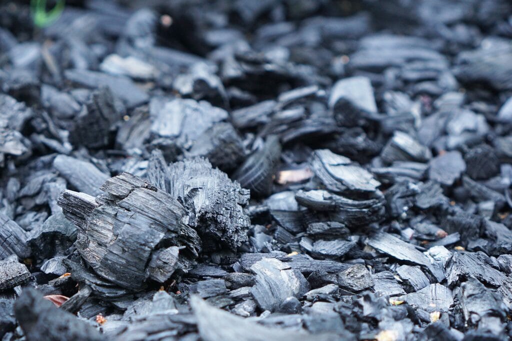 7 Organic Soil Solutions for Plant-Based Botanical Wellness 5 Hand holding a scoop of black biochar granules