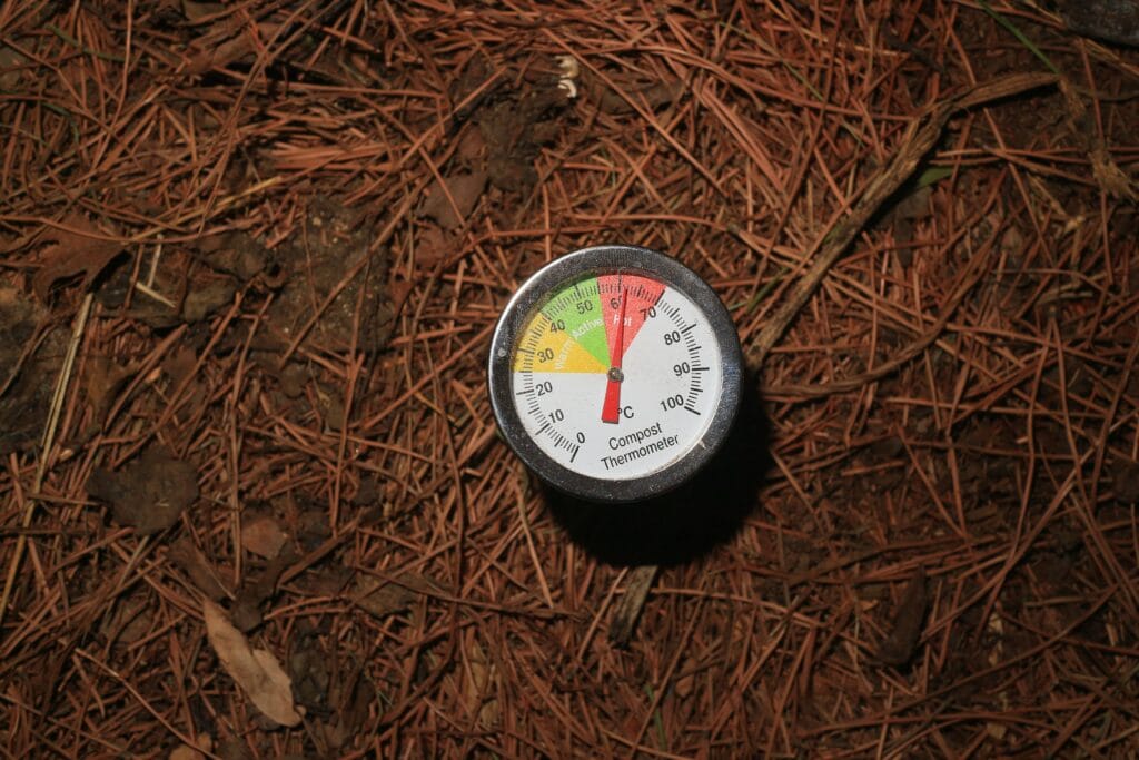 Hand checking soil moisture with a digital probe in a garden bed
