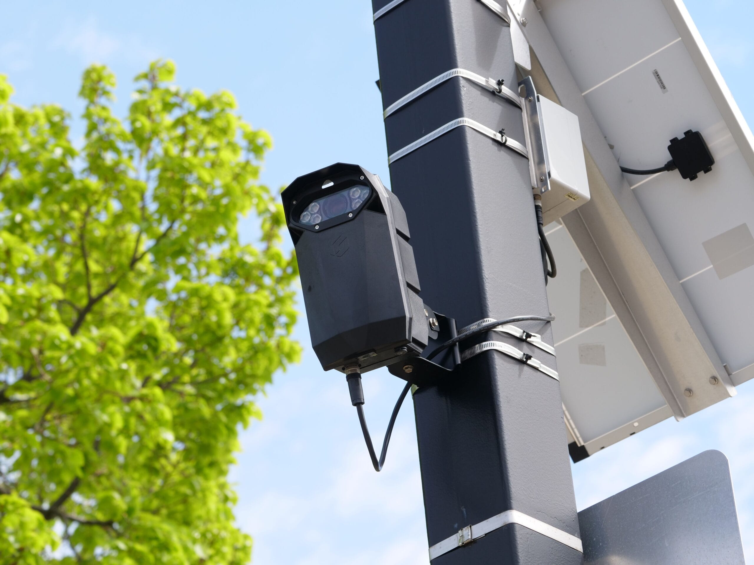 Solar powered soil sensor in a lush green vegetable garden