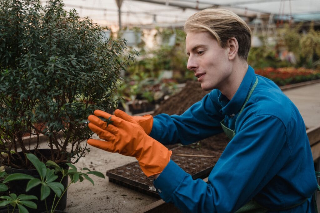 side hustler working on a laptop while a plant grows beside the keyboard
