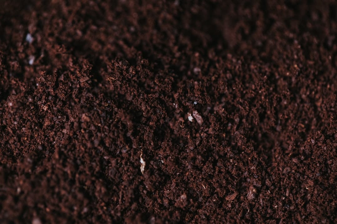 7 Soil Health Indicators for Thriving Plant-Based Gardens 6 Soil aggregate clumps being broken apart in a glass of water for slake test