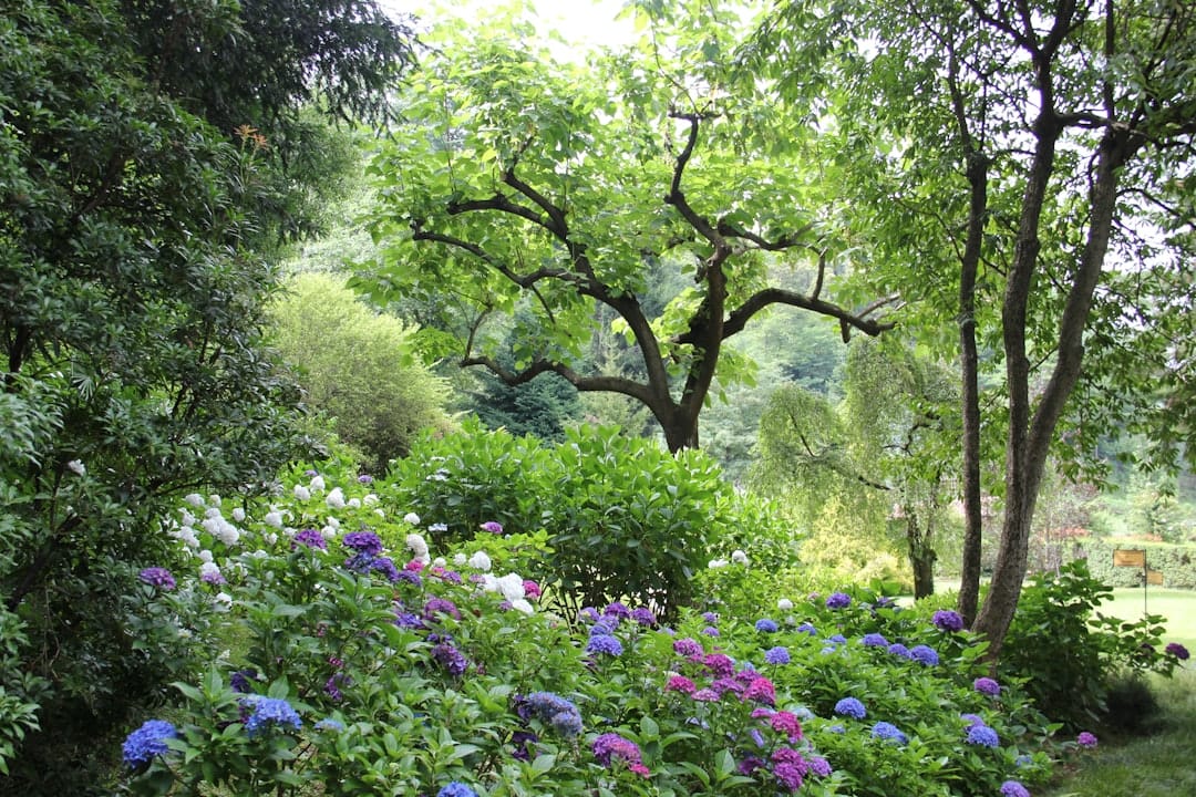 7 Soil Health Indicators for Thriving Plant-Based Gardens 8 Diverse garden ecosystem with insects, nematodes, and mycorrhizal roots