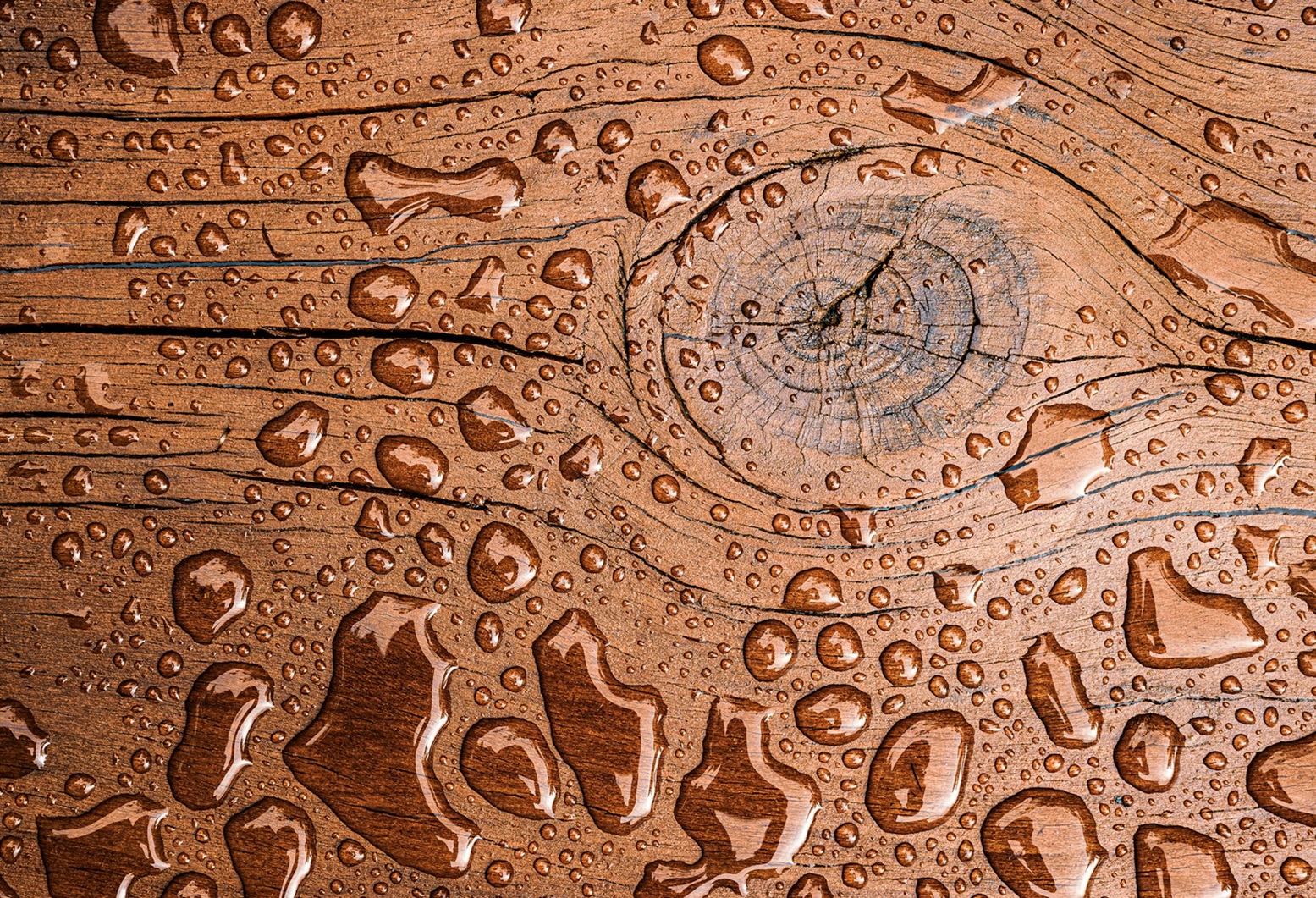 Water resistant wood