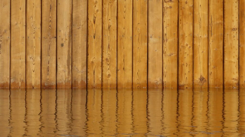 Vertical wooden planks standing in calm water with rippling reflections on the surface