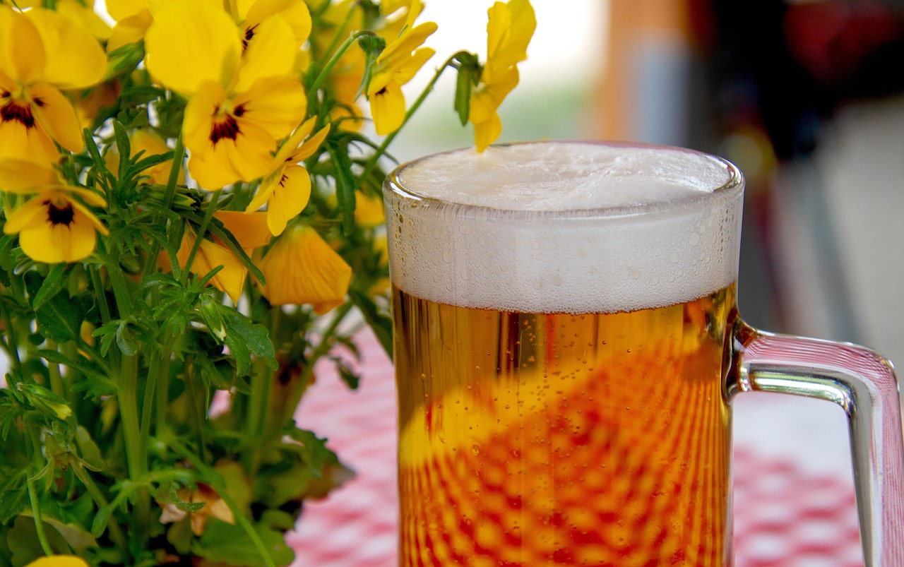 Beer Basics: A Practical Guide 2 four raw beer ingredients including barley hops water and yeast on a rustic table