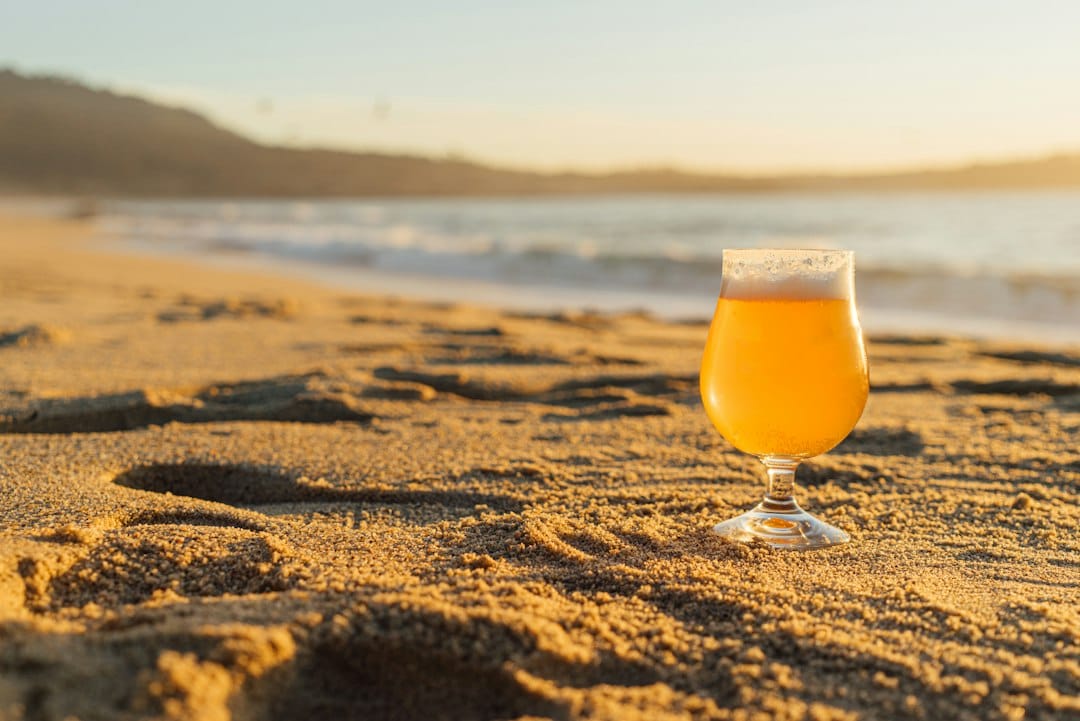 Small Business Guide: How to Start, Run, and Grow a Business 6 Smartphone displaying an Instagram feed of travel photos with craft beer