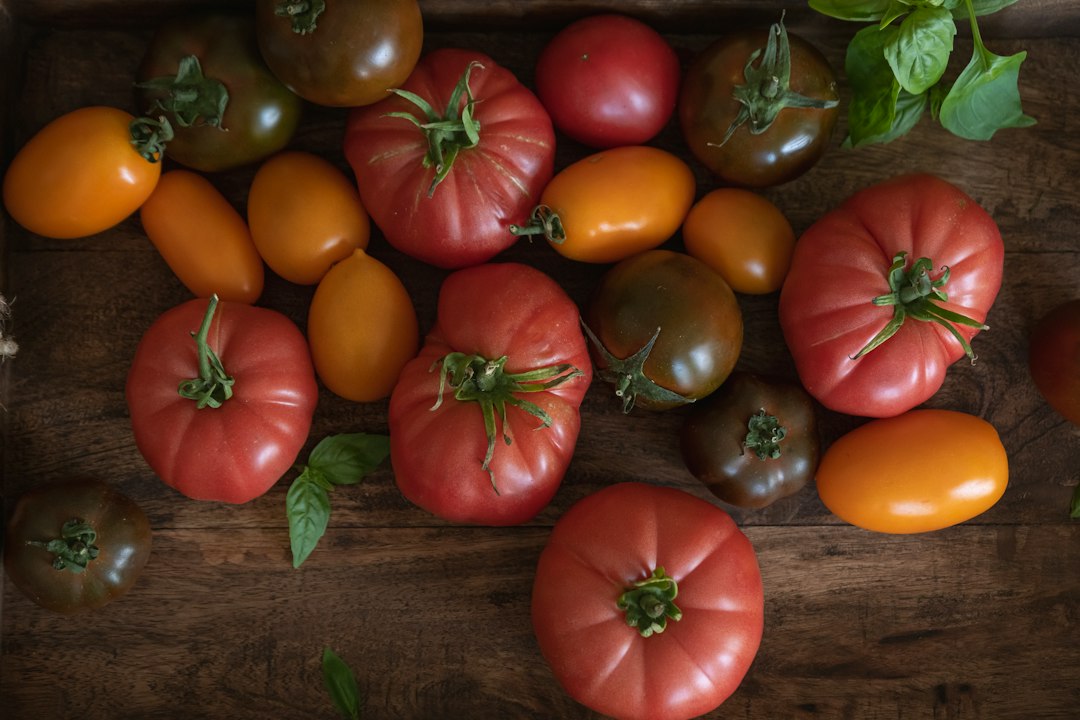 Growing For Beginners: Where to Start 8 Freshly harvested basil bunch on a kitchen counter